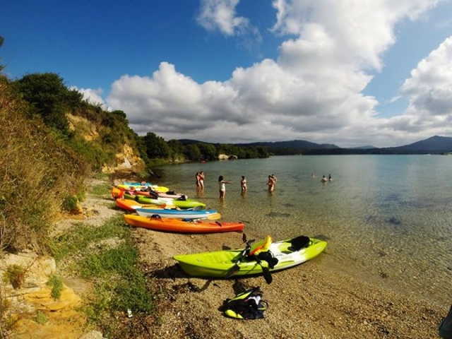 Kayaks apartados en la orilla